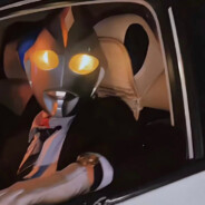 一无所有小馋猫