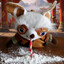 Master Snifu