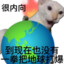 把春天打包
