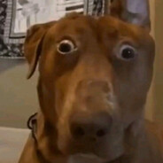 НАСТЯ_dust2_ра3а_V_TY3A