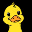 IamDucky