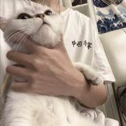 但愿长醉不苏醒