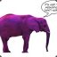 Purple_Elephant