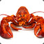 homard de l&#039;esport