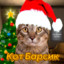 Кот Барсик
