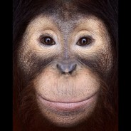 YANKO avatar