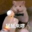 是良森捏