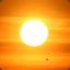 Sunshot454