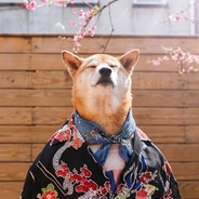 大事不妙雷霆猪