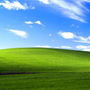 WINDOW XP