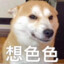 想拉你吃的屎