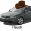 Haudi