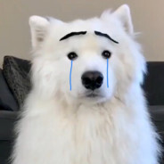 โบ้เอง