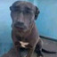 FΞLIPΞCCFELIPE