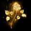 GoLd_RoSe