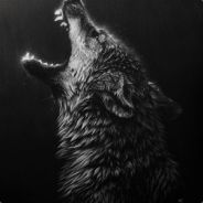 excel - steam id 76561197960379922