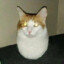 kassee_
