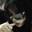 読み