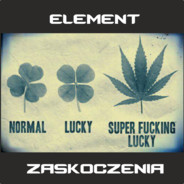 ELEMENT ZASKOCZENIA