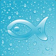 Sunfish