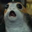 The Wailing Porg