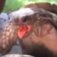 purpleturtle