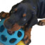 lilor