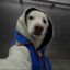Gangsterini Doggini