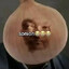 Horseshoe Crab on too many drugs