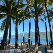 她说一毫米也是距离