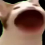 pop cat - steam id 76561197960696069