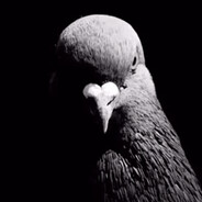 аъ? - steam id 76561198244257346
