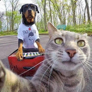 天道酬勤梦为马