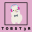 Tobst3r