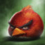 red angry bird