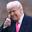 Donaldo