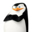Skipper