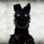 mauro's avatar