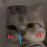 我的心是冰冰的