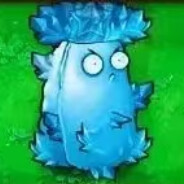 拾肆（高坚果版）