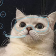 手拿把掐 吹晚风