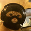 Ryu lion
