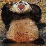 angry panda