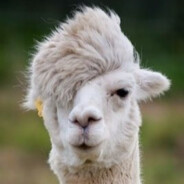 ♋❤★Mižu★❤♋