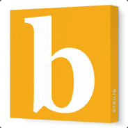 -b - steam id 76561197960356276