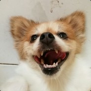 大陸南方的網友