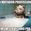 Ted_matador