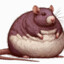 Regular Rat