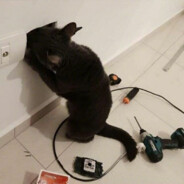 空中花园首席海底分席