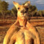 Kangaroo LeBuff